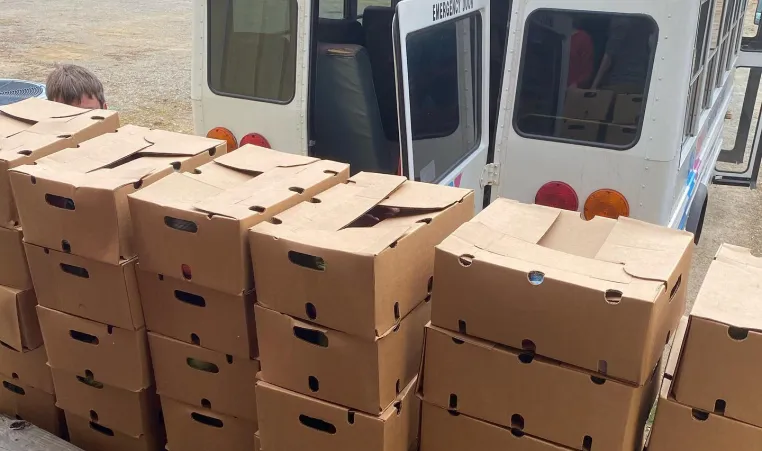 food boxes