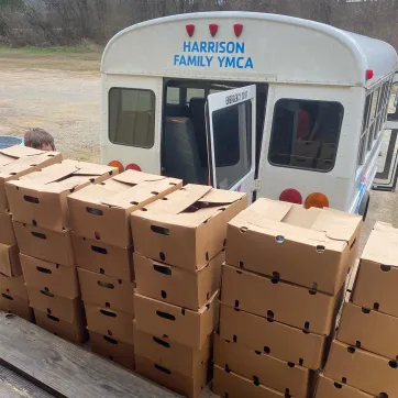 food boxes